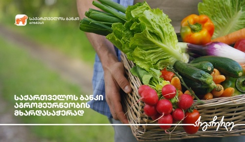 ბოსტნეულის მეურნეობა 240 000 ლარით დაფინანსდა 