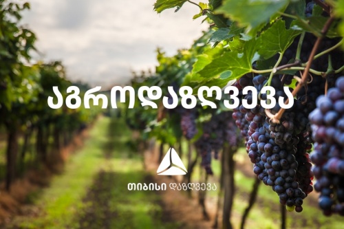 თიბისიმ ფერმერებს 2.7 მილიონი აუნაზღაურა