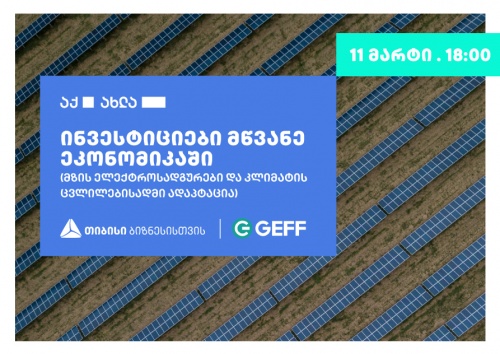 თბილისში ონლაინ ფორუმი ინვესტიციები მწვანე ეკონომიკაში ჩატარდება თბილისში ონლაინ ფორუმი ინვესტიციები მწვანე ეკონომიკაში ჩატარდება