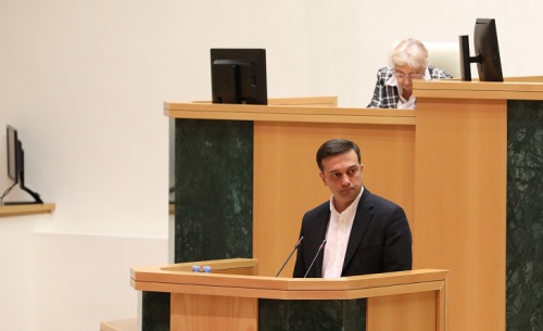 ერთხმად – პარლამენტი სახალხო დამცველს ღია კენჭისყრით აირჩევს