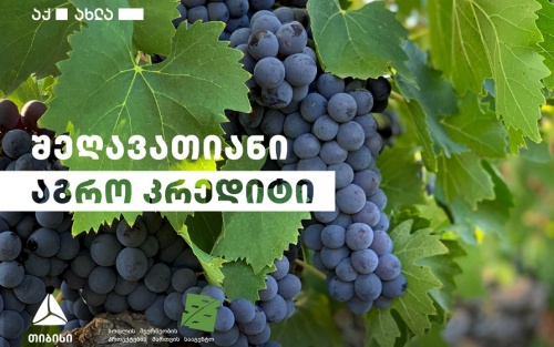 თიბისი მეღვინეებისთვის შეღავათიანი აგროკრედიტის პირობებს აუმჯობესებს