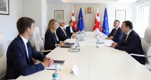ღარიბაშვილმა როტშილდთან საქართველოს რეგიონულ ჰაბად გარდაქმნის სტრატეგია განიხილა