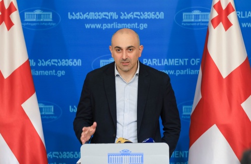 „გირჩი“ სებ–ის პრეზიდენტის წინააღმდეგ საგამოძიებო კომისიის შექმნას ითხოვს