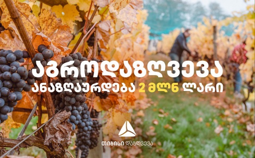 თიბისი დაზღვევა 152 ლახელ ფერმერს ზიანაუნაზღაურებს