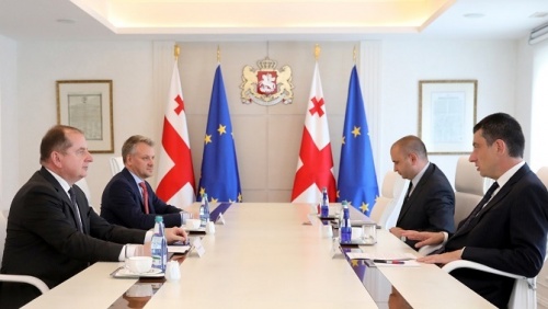 პრემიერი EUMM-ის ახალ ხელმძღვანელს შეხვდა 