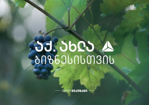 შატო მუკუზანმა თიბისის მხარდაჭერით საწარმო გააფართოვა შატო მუკუზანმა თიბისის მხარდაჭერით საწარმო გააფართოვა