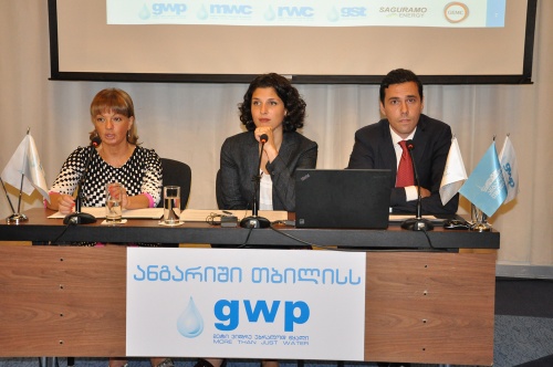 GWP -ი 94,5 მილიონის პროექტებს ახორციელებს   