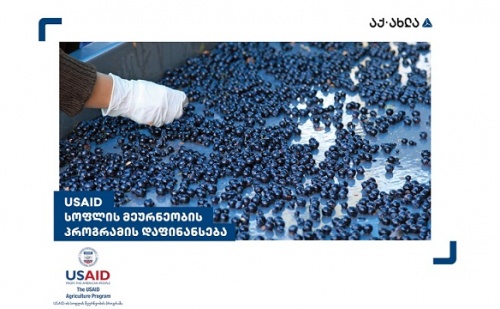 USAID-ის და თიბისის კოლაბორაცია აგროსრექტორის მხარდასაჭერად