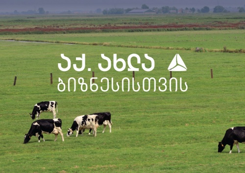 ყველის ქარხანა სანტა წარმოებას აფართოებს