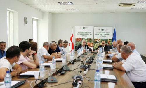 გორში არასტანდარტული ვაშლის რეალიზაციის საკოორდინაციო შტაბი გაიხსნა