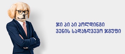 9 თვეში ყველაზე მეტი პრემია „ჯიპიაი ჰოლდინგმა� მოიზიდა