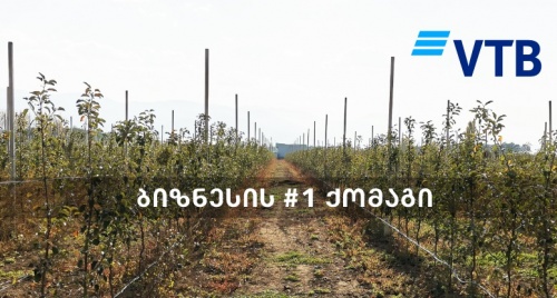 ვითიბი ბანკის დაფინანსებით ინტენსიური ვაშლის ბაღები  გაშენდა