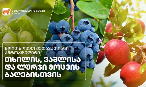 საქართველოს ბანკმა ახალი აგრო  პროდუქტი შექმნა