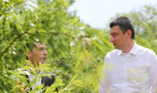  მევენახეების და მეთხილეობის პაკეტი იზრდება