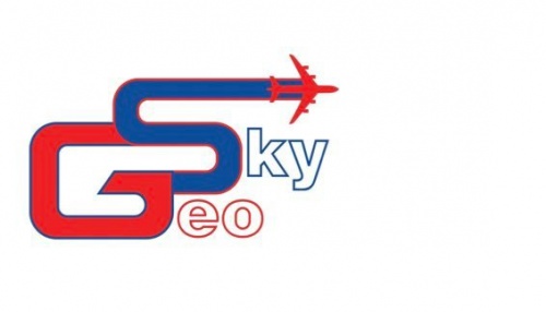 Geo Sky ბაზრის ლიდერია