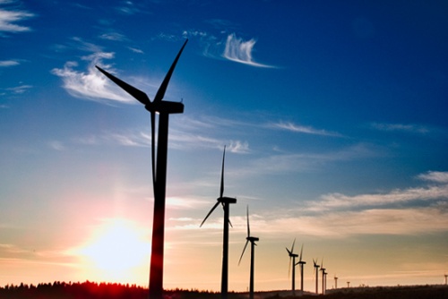 GOGC-ს მოგება 36 მილიონით შეუმცირდა 