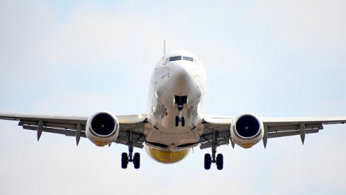 უკრაინული Bees Airline შემოდის 