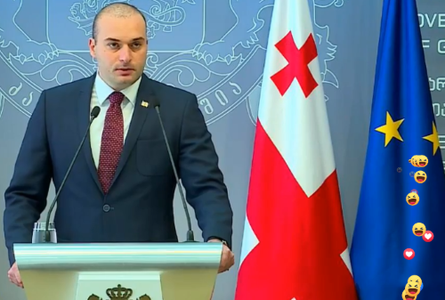პრემიერი ამბობს რომ მთავრობა მოწოდების სიმაღლეზე არ დგას