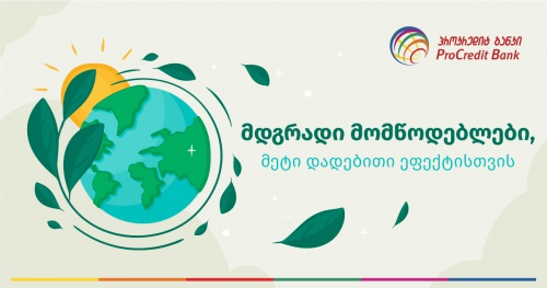 მდგრადი მომწოდებლების გავლენა გარემოსა და სოციალურ საკითხებზე