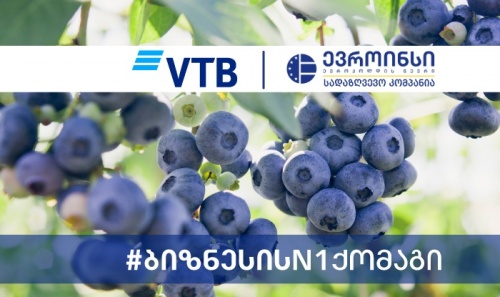 ვითიბი ევროინსის პარტნიორია 