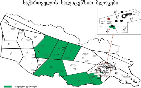 საქართველოში გაზისა და ნავთობის სარგებლობის გენერალური ლიცენზიის მოსაპოვებლად ტენდერი გამოცხადდა