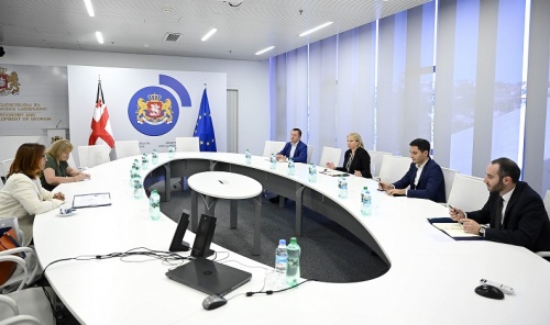 ნათია თურნავა IOM-ის საქართველოს მისიის ხელმძღვანელს შეხვდა