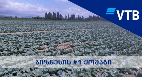 აგრო ბიზნესის ხელშეწყობა გრძელდება - ვითიბი აგრო ბიზნესის ხელშეწყობა გრძელდება - ვითიბი