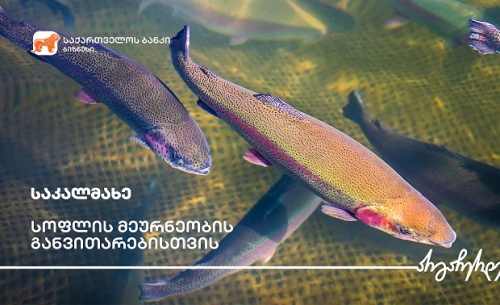 გორის საკალმახეს სალიფსიტე მეურნეობა შეემატა