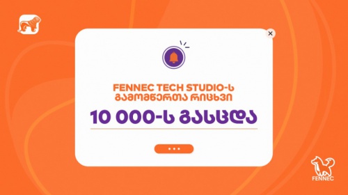 BOGG-ის მხარდაჭერით Fennec Tech Studio-ს გამომწერთა რიცხვმა 10 000-ს გადააჭარბა