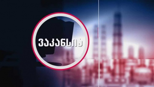 საპენსიო სააგენტოს დირექტორის ხელფასი  15 000 ლარამდე იქნება 