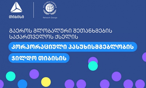 თიბისის გაეროს გლობალური შეთანხმების საქართველოს ქსელის  ჯილდო გადაეცა