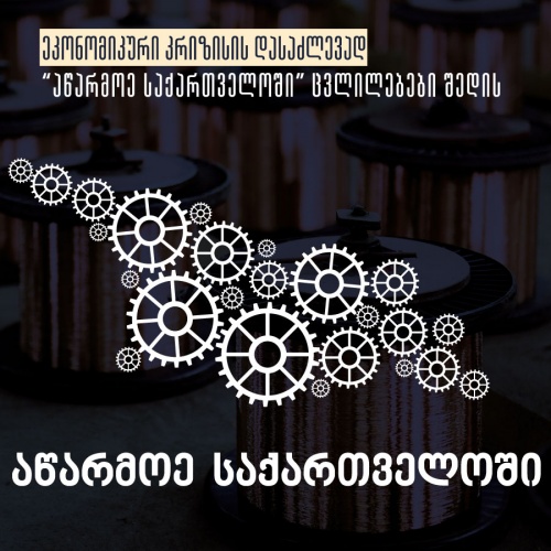 აწარმოე საქართველოში 12 ახალი ეკონომიკური საქმიანობის მხარდაჭერას იწყებს