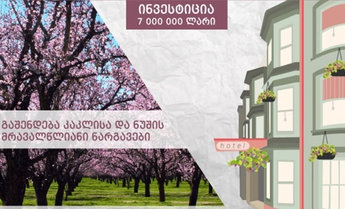 საგარეჯოში სასტუმრო  Rooms აშენდება